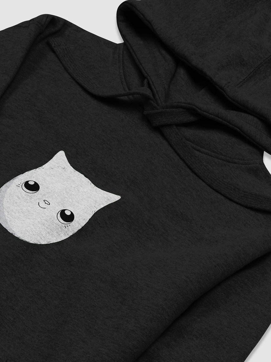 Big Bol Hoodie product image (3)