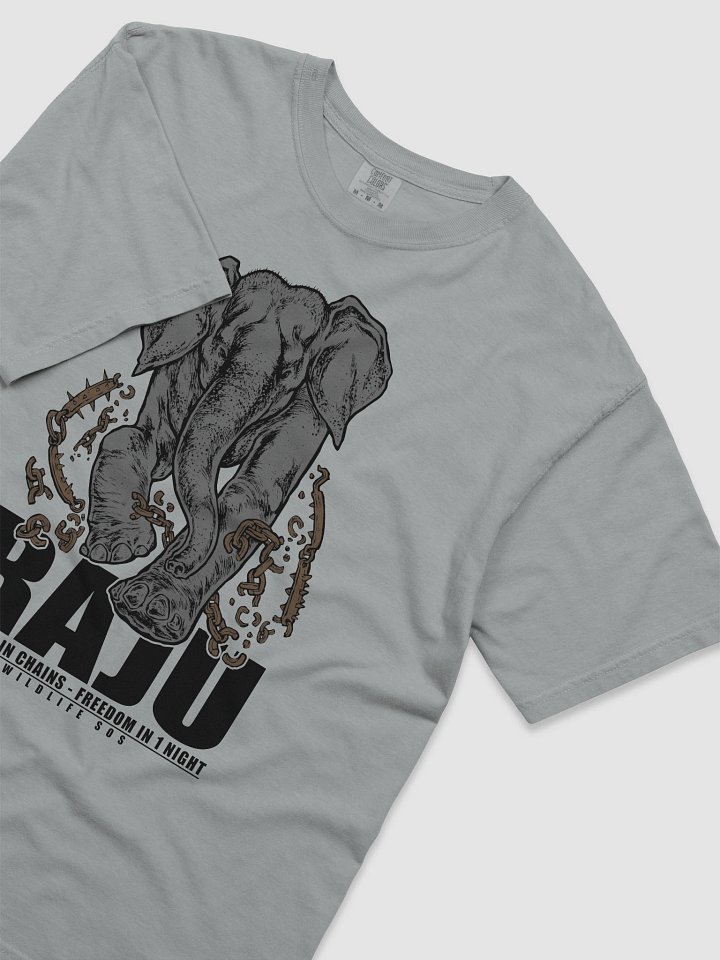 Break The Chains product image (2)