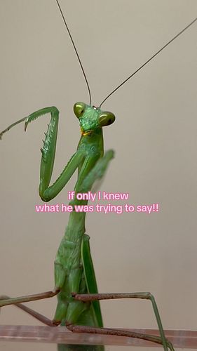 he loves it when I talk to him!!