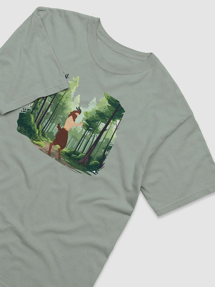 Pan T product image (2)