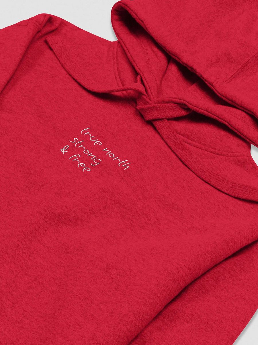 True North Hoodie product image (9)