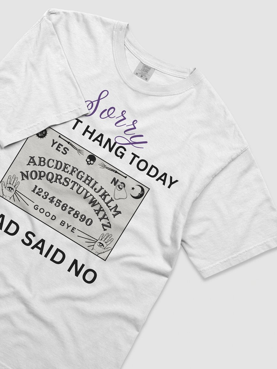Haddock Says No! product image (3)