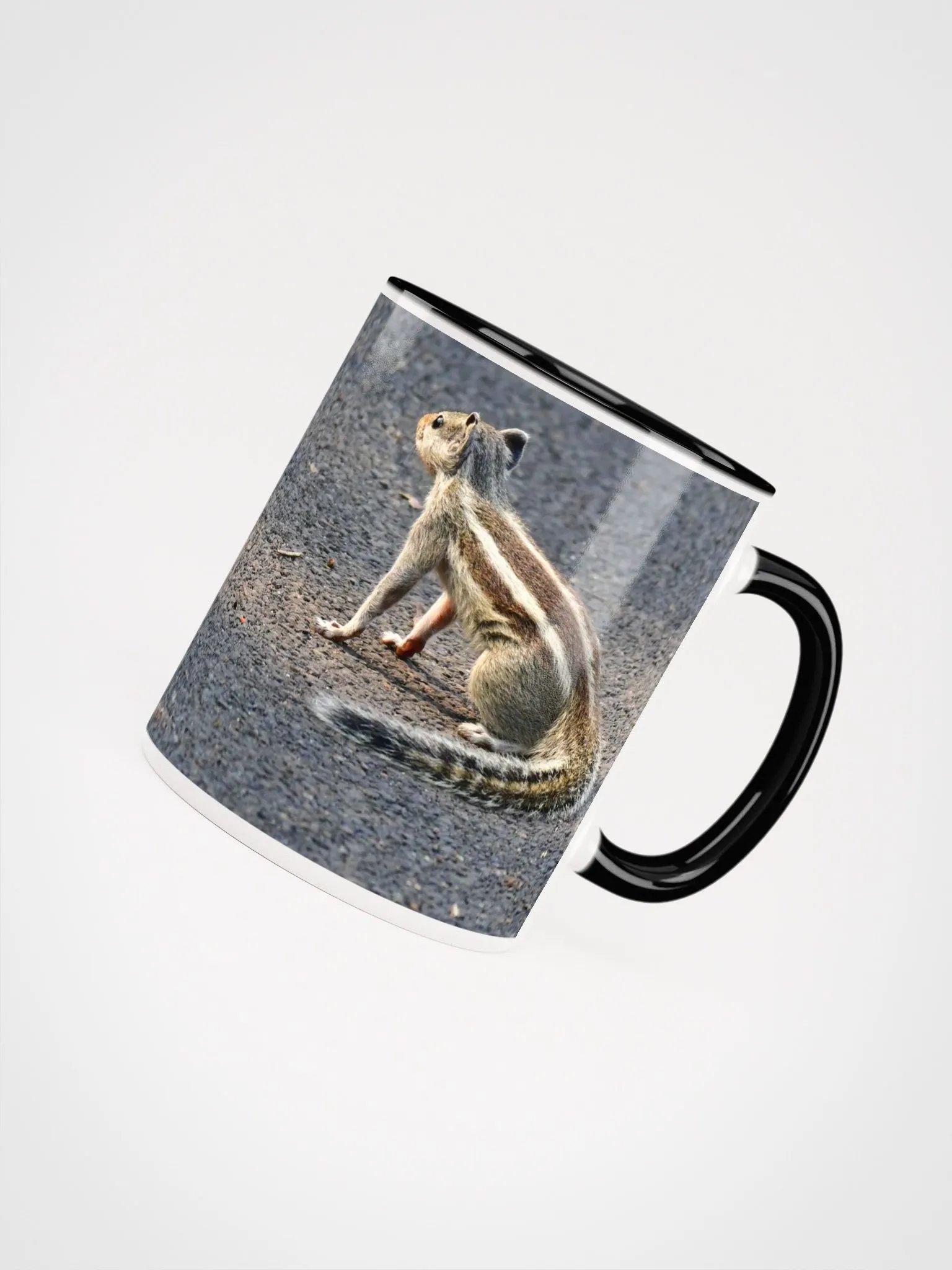 IUCAA Birds MUG product image (4)