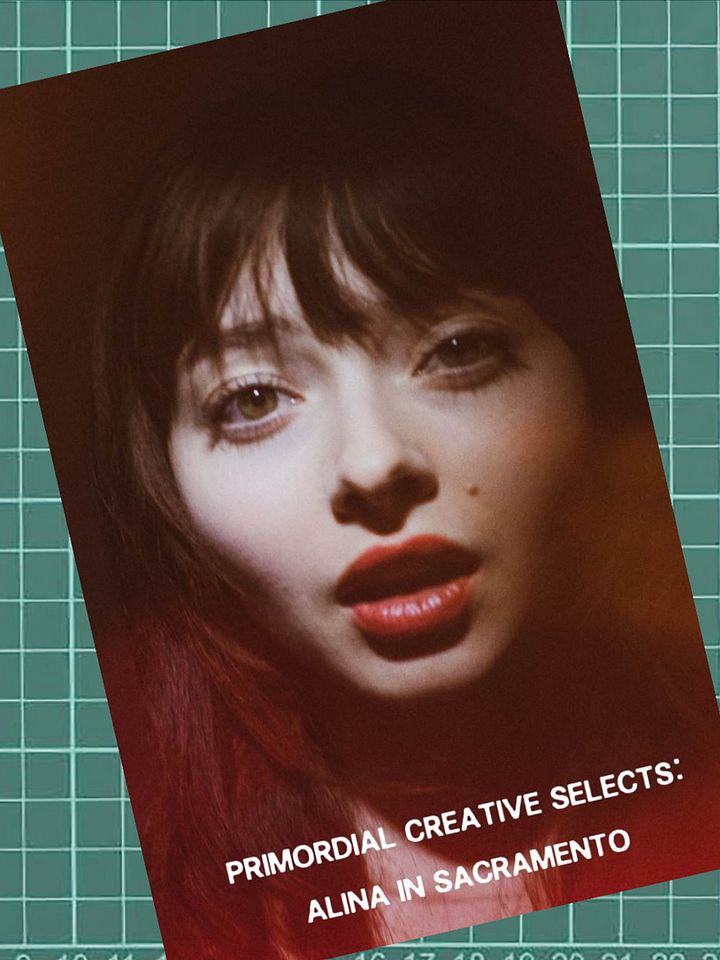Alina in Sacramento 36 Page E-Zine product image (1)