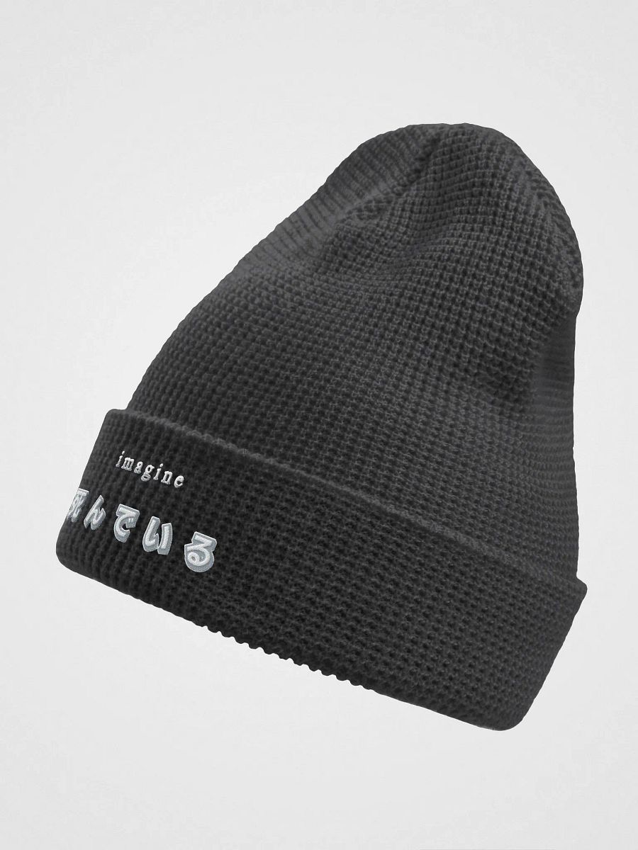 Imagine Dying Beanie product image (2)