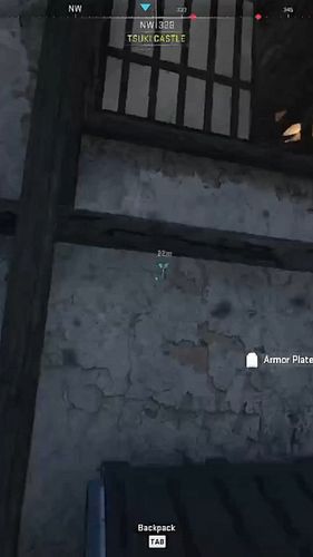 When teammates are their own... #callofduty #rebirth #warzone #rebirthclips #twitch #twitchclips #callofdutyclips