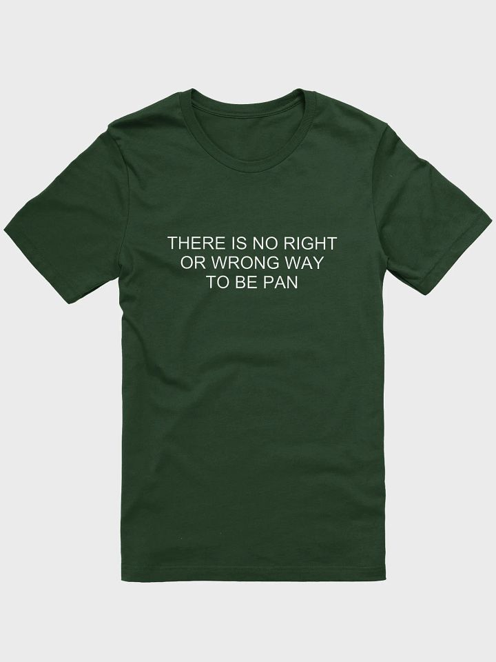 no wrong way to be pan t-shirt product image (1)
