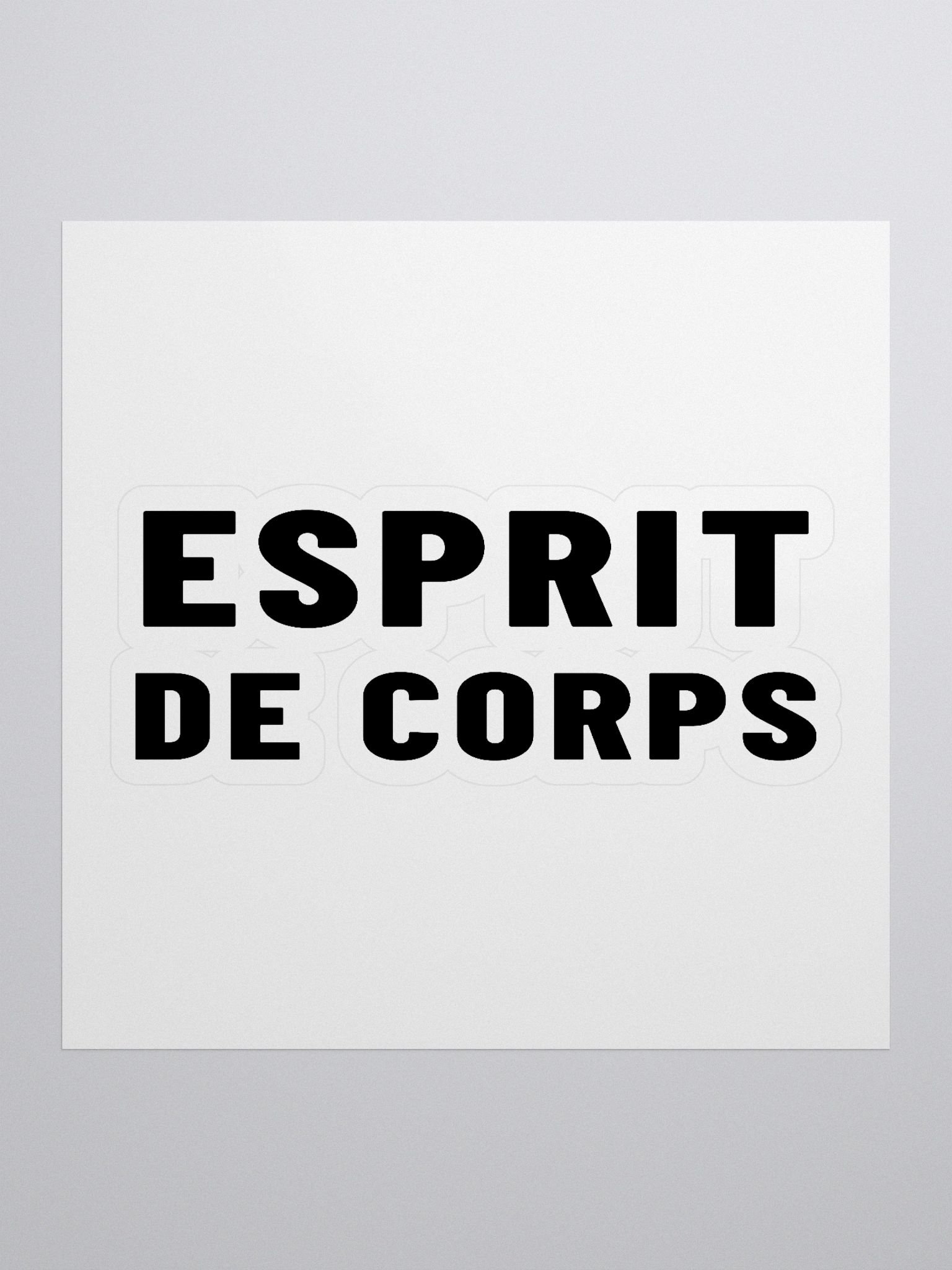 Esprit Logo Sticker product image (1)