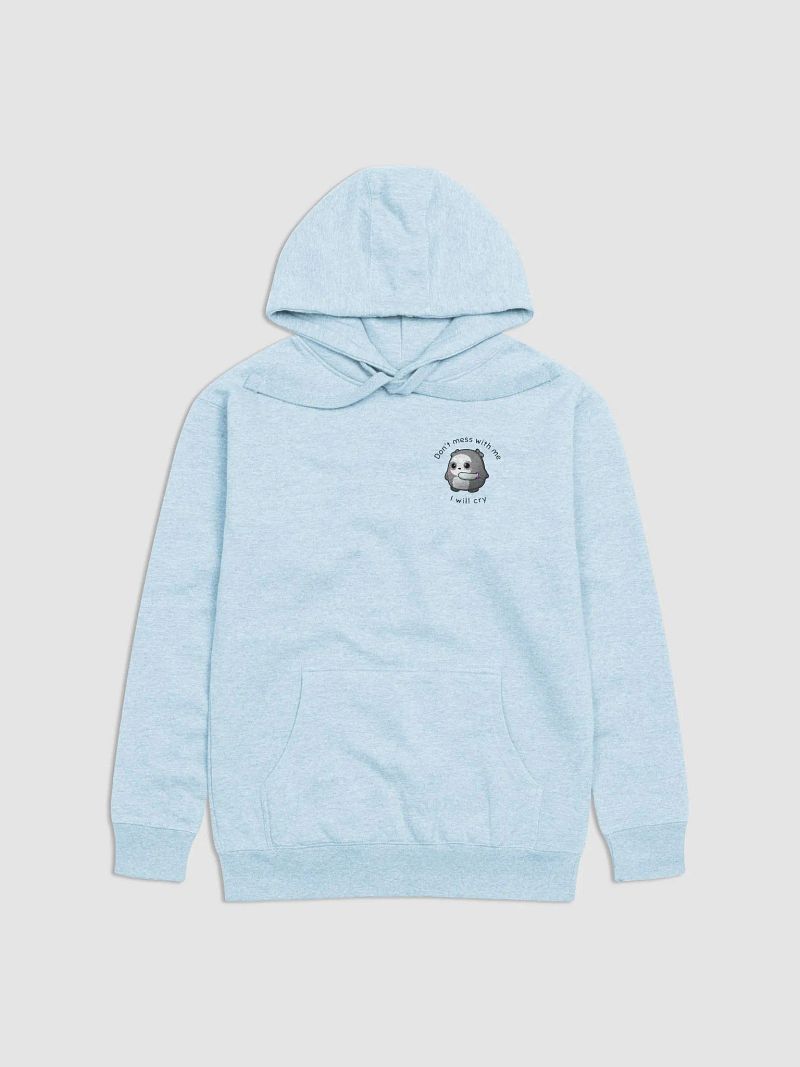 Don't Mess With Me Hoodie
