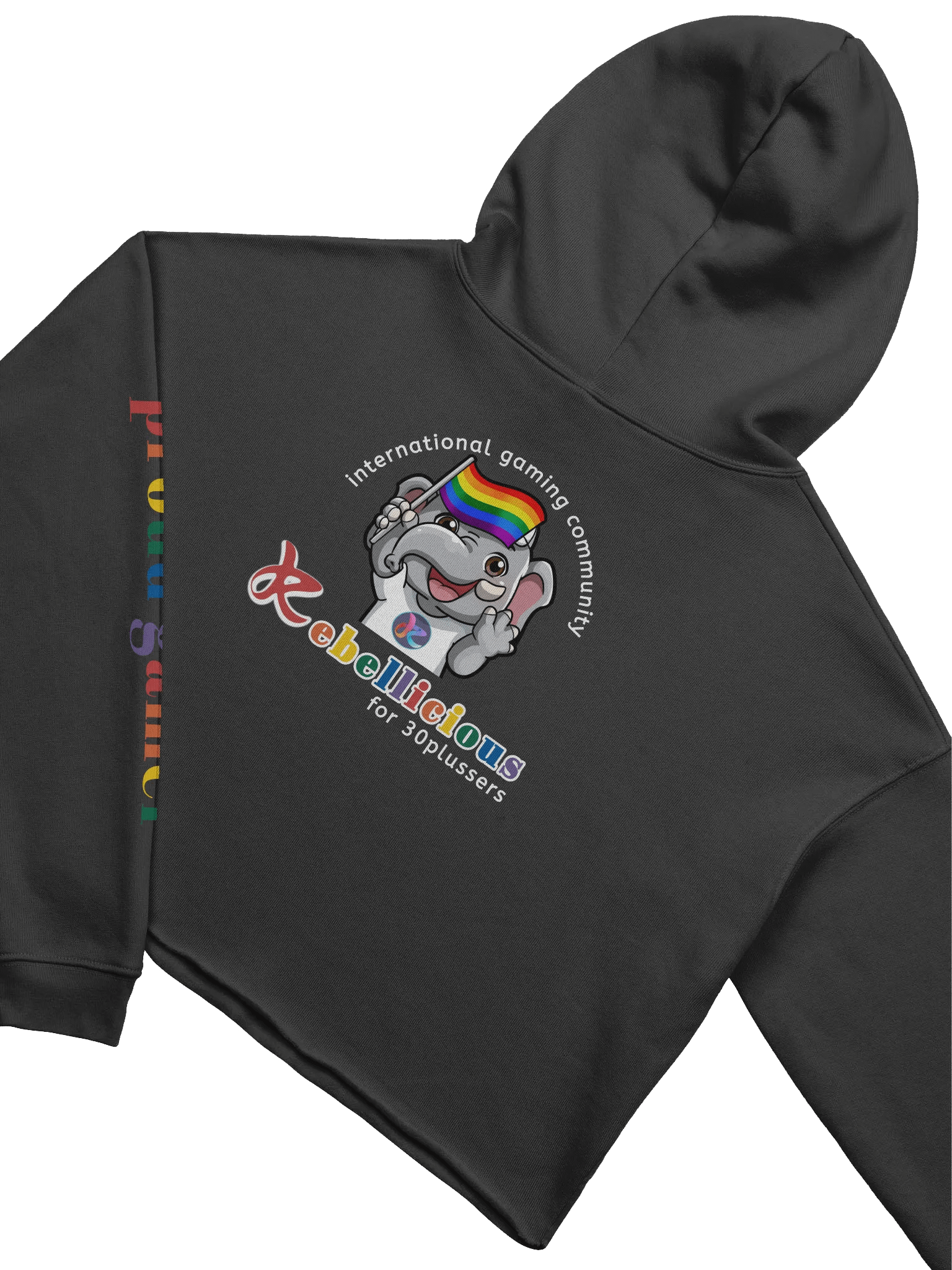 Pride Crop Hoodie product image (6)