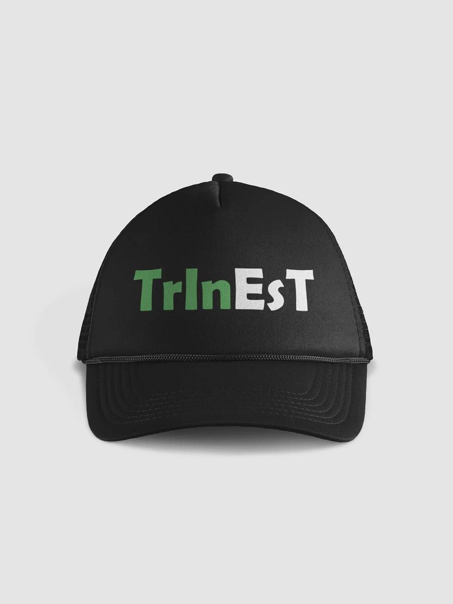 Logo Hat product image (1)