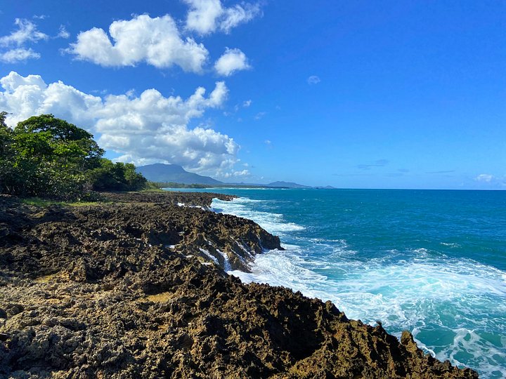 CANGREJO, PUERTO PLATA product image (1)