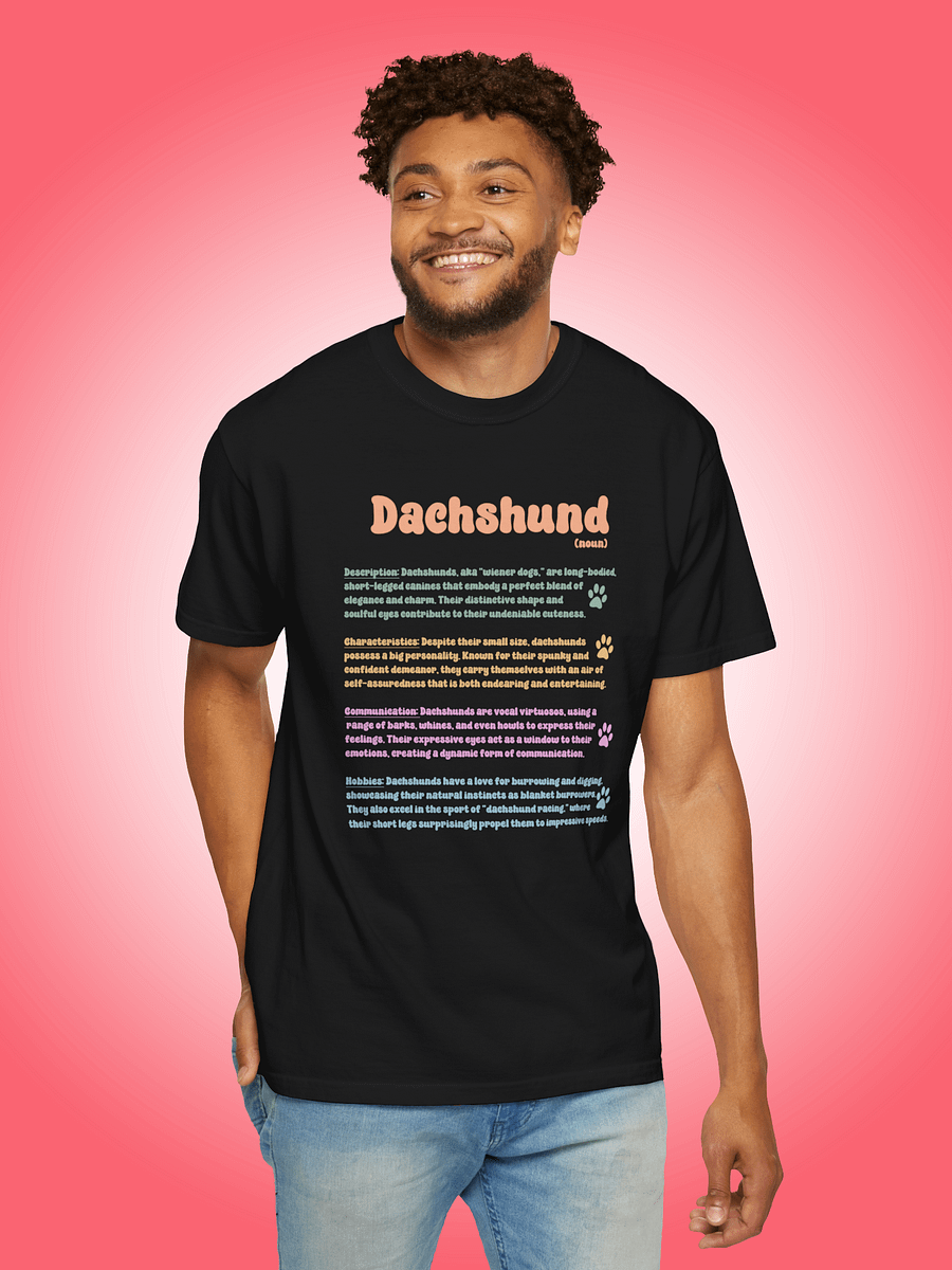 Definition of a Dachshund product image (1)