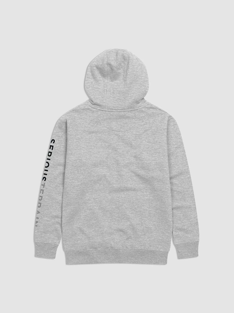 SeriousTerrain Hoodie LT product image (2)