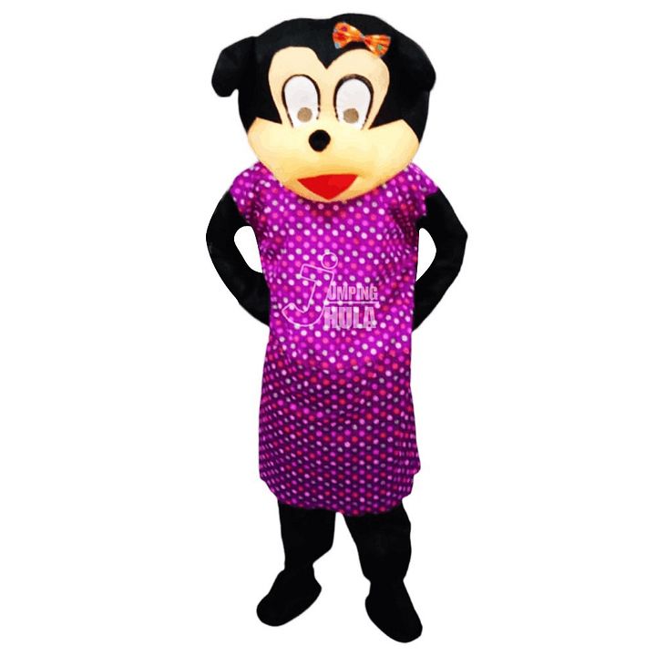 Unique Teddy Teddy Bear Dress Costume product image (1)