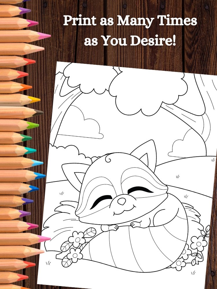 Raccoon Printable Coloring Pages for Kids product image (5)