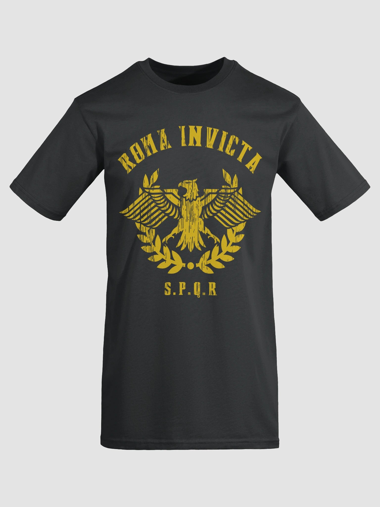 Rome Reborn v2 Heavy Tee product image (13)