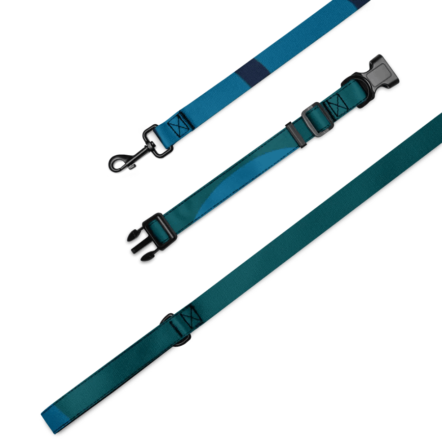 Mystic Blur Pet Collar & Leash Set product image (5)