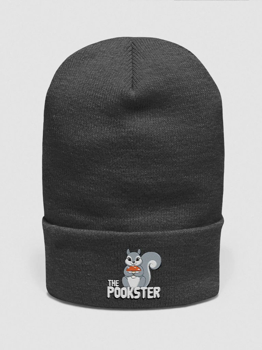The Pookster's Mushroom Beanie product image (1)