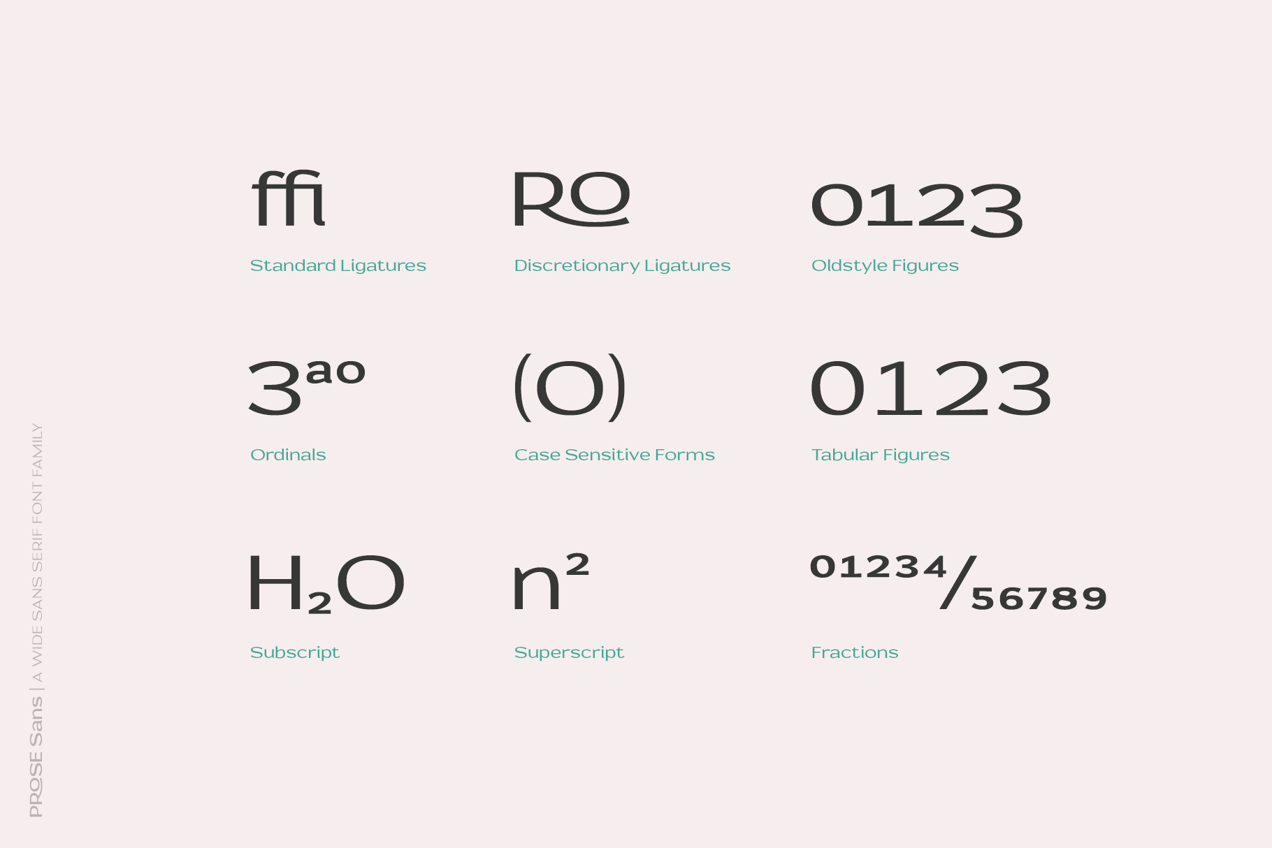 Prose Sans | A Wide Sans Serif Font Family product image (7)