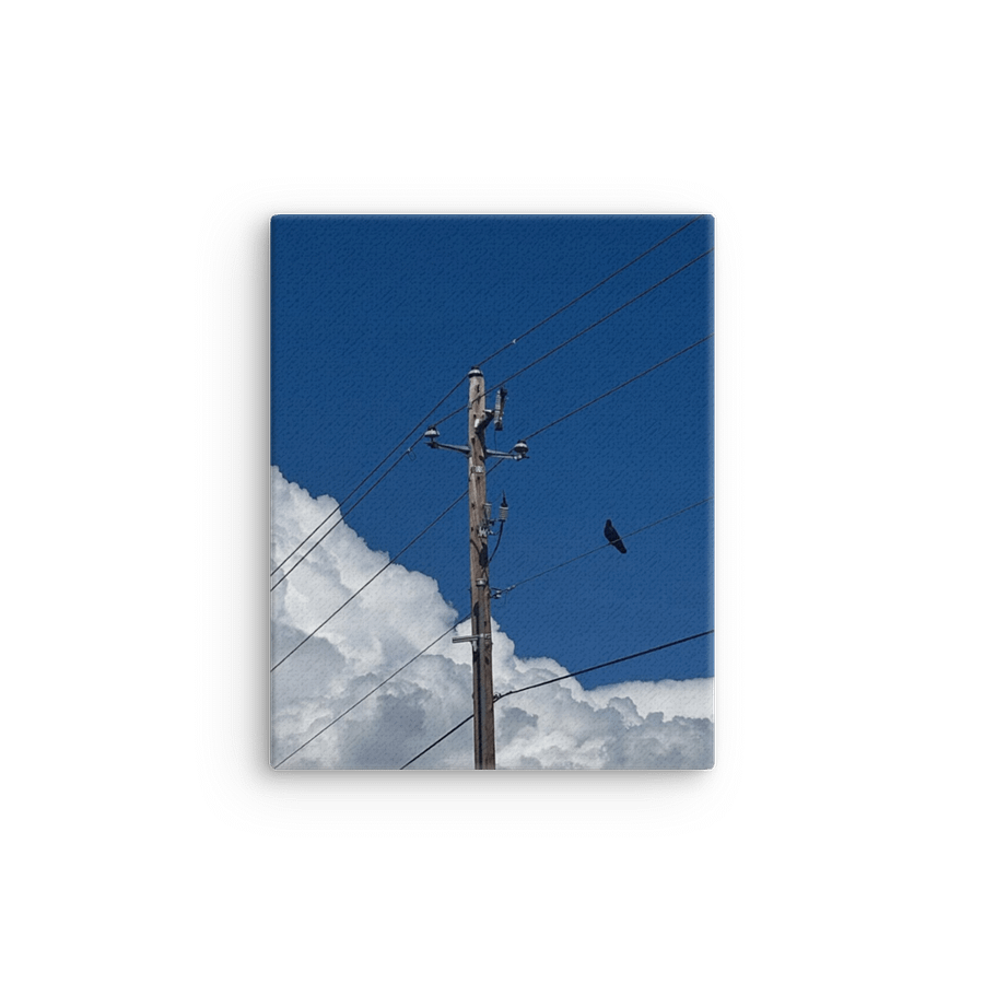 New Phone Line, Who Dis? product image (12)