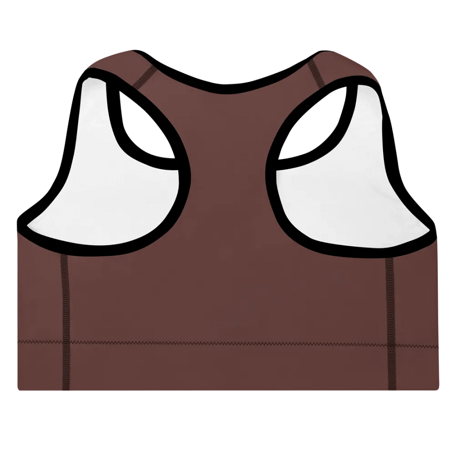 Maroon Muse Padded Activewear Sports Bra product image (3)