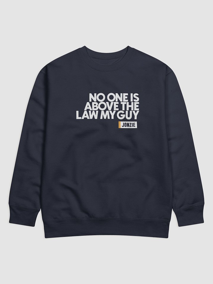 NO ONE IS ABOVE THE LAW SWEAT product image (1)