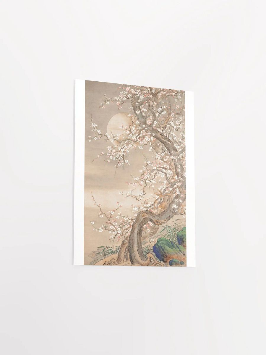Japanese Plum Blossoms in Moonlight by Sō Shizan product image (3)