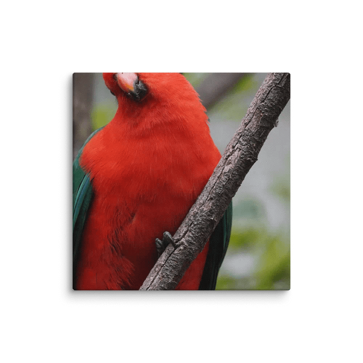 Bird on a Canvas product image (2)