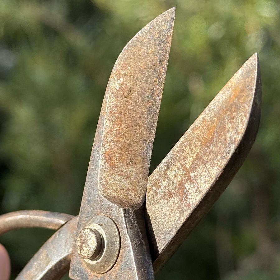 🎎 Antique Japanese garden shears - Japan Antique Roadshow Description: product image (2)