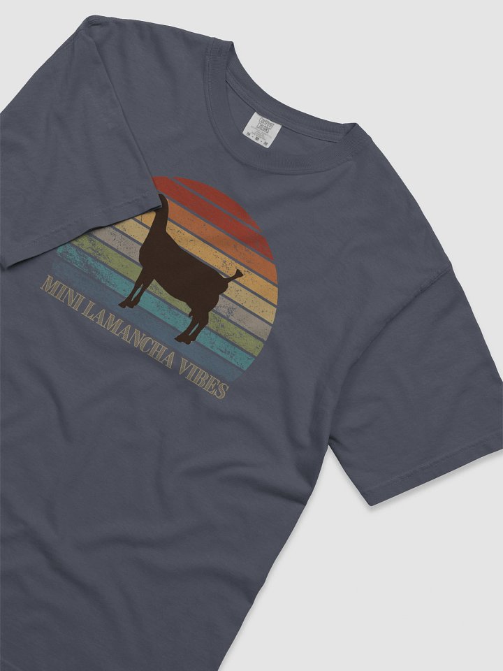 Mini Lamancha Vibes product image (34)