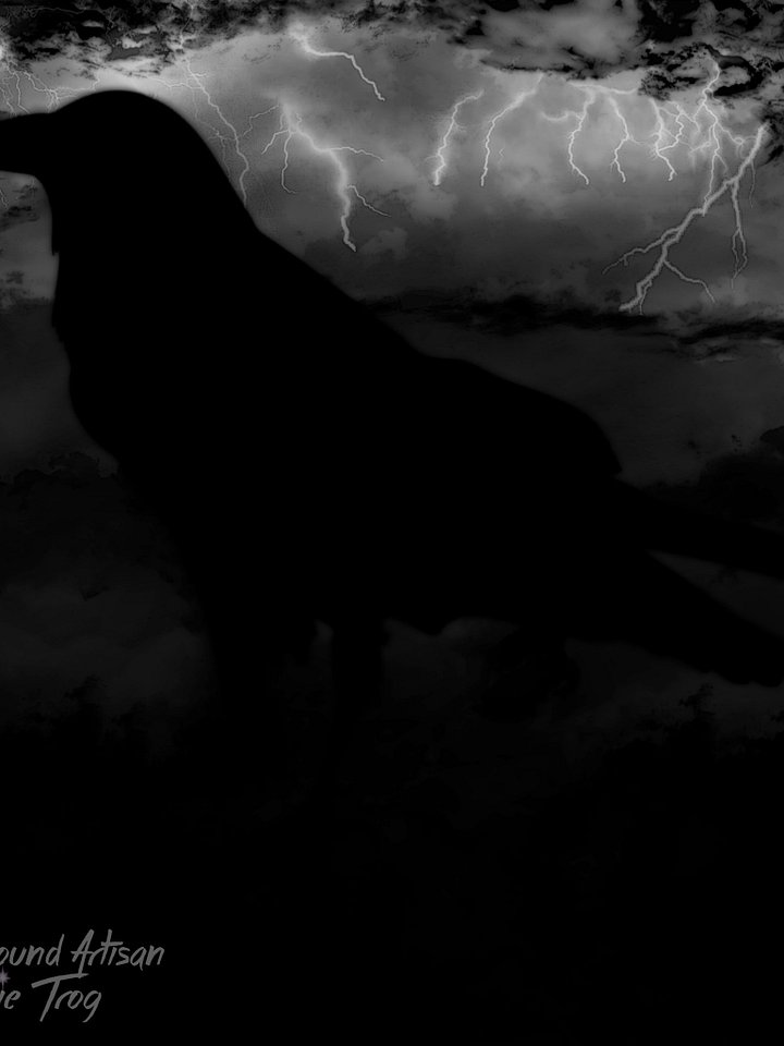 Storm Crow | Spellbound Studio product image (1)