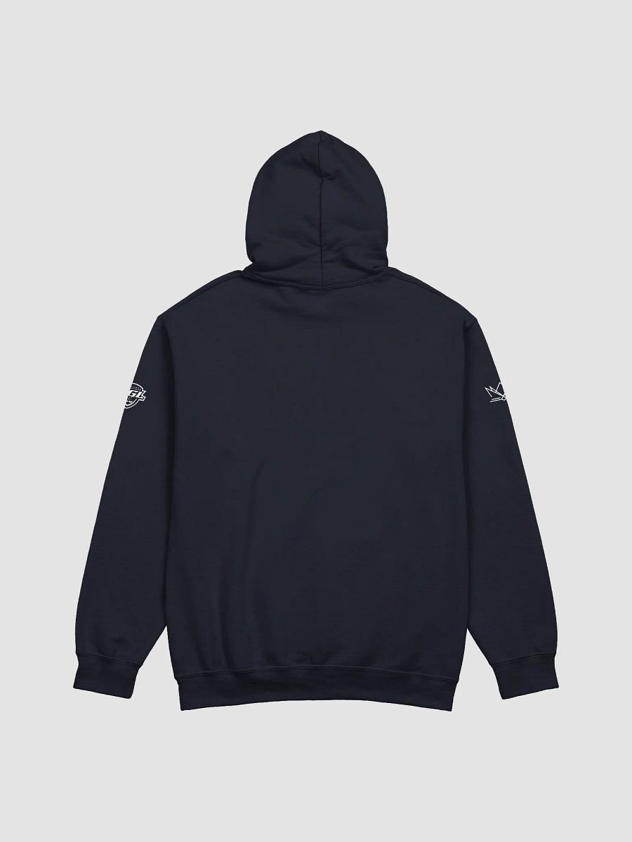 Tampa Bay Storm Classic Hoodie by Gildan product image (3)