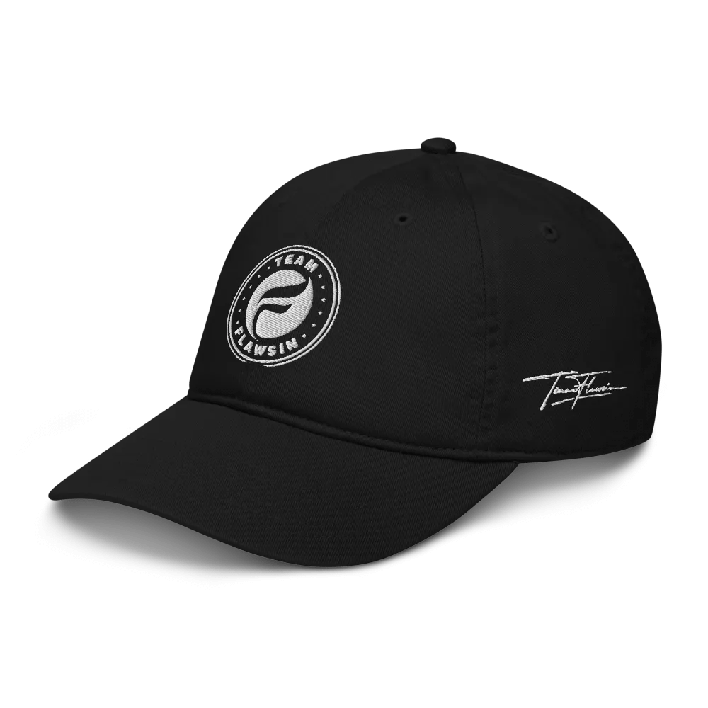 Team Flawsin Econscious Organic Dad Hat product image (5)