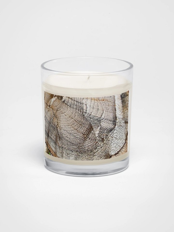 Tree Ring Soy Candle product image (1)