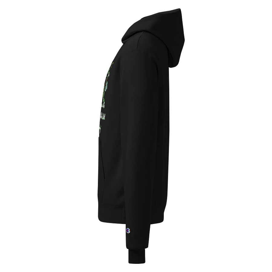 Photosynthesis Magic Unisex Hoodie product image (3)