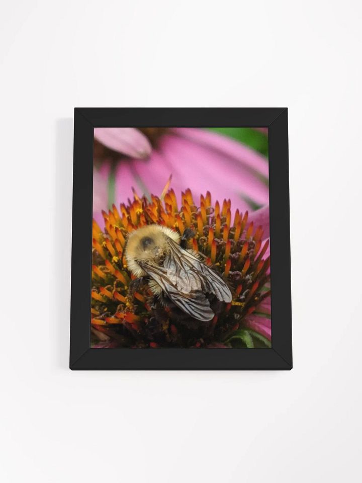 Fuzzy Little Bumbler product image (1)