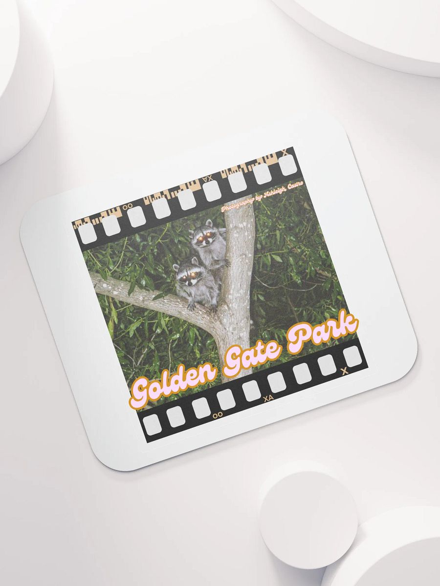 Golden Gate Park Raccoons Mouse Pad product image (7)