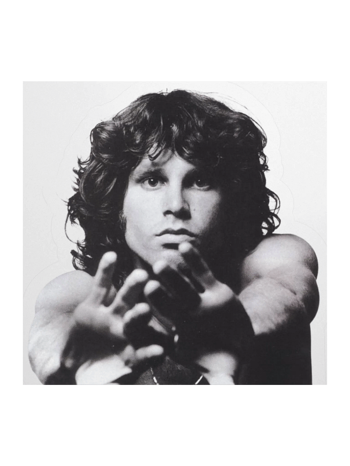 Jim Morrison Sticker – TheAmericanPoet | The Doors | Psychedelic Rock Icon | Kiss Cut Vinyl Stickers product image (2)