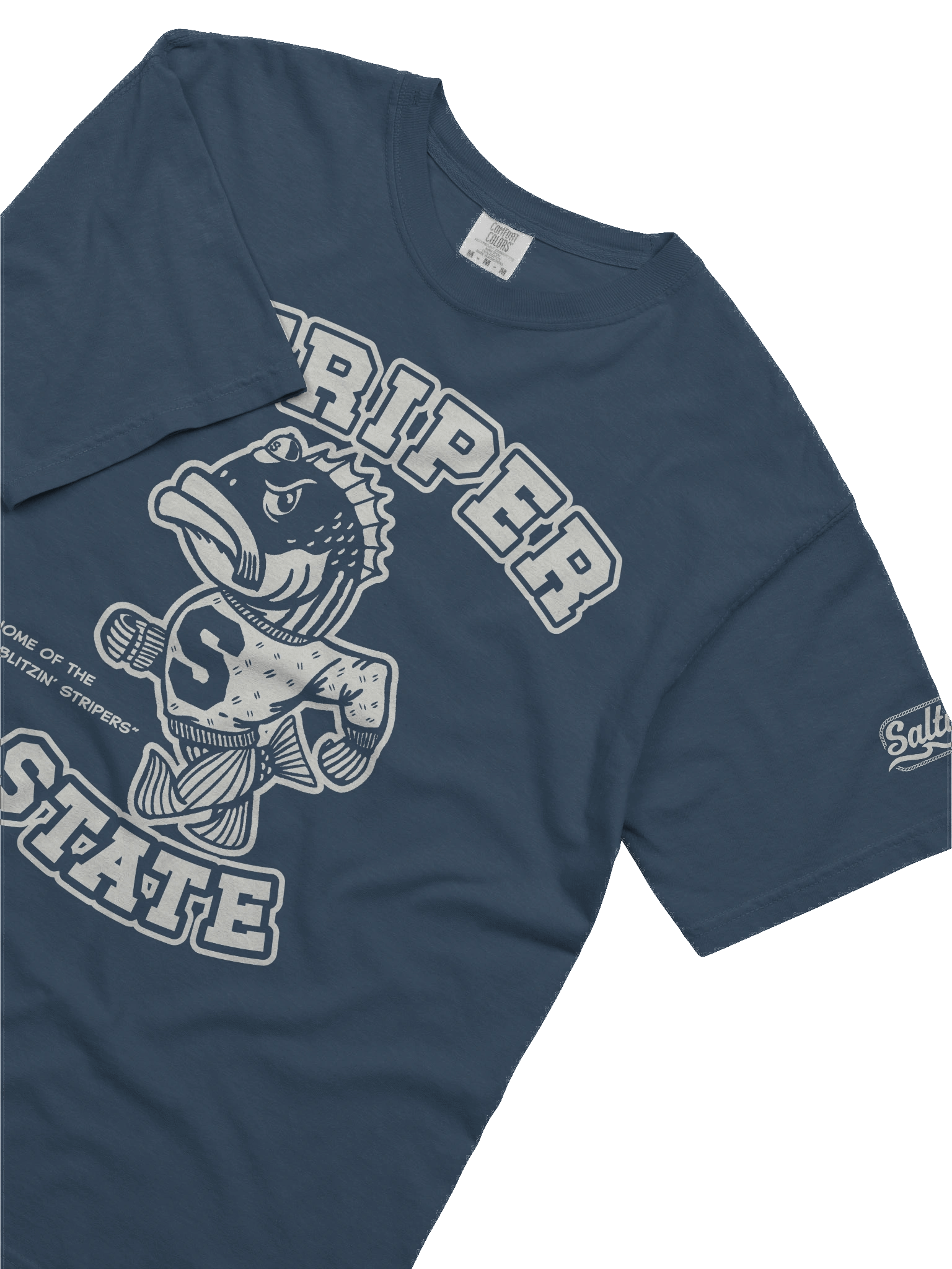 Striper State Tee product image (9)