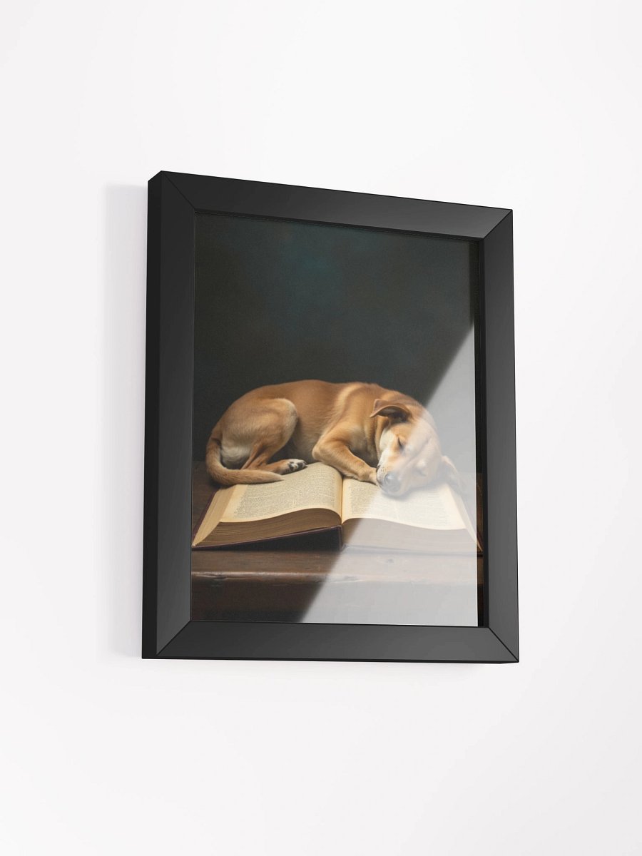 Sleeping Potcake Framed Picture 2 product image (22)