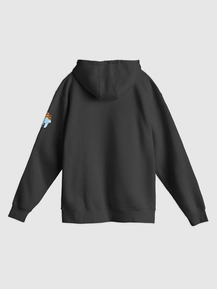 In BV We Trust Hoodie product image (2)