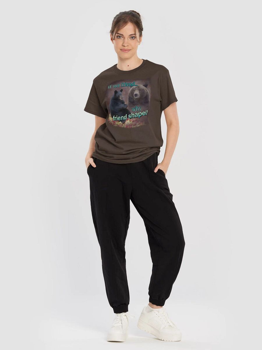 If Not Friend, Why Friend Shaped Bear T-shirt product image (5)