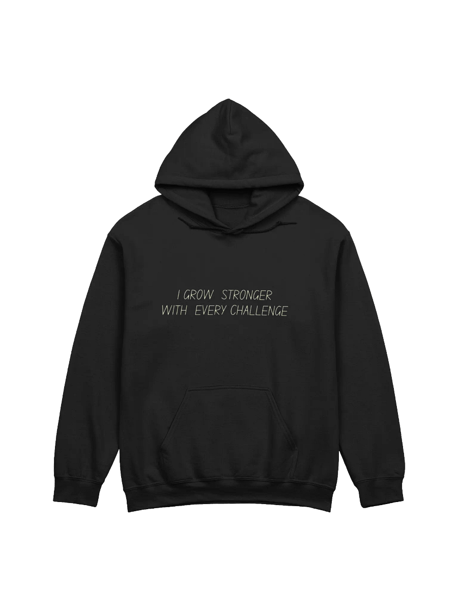 Minimalist Hoodie- Black product image (1)
