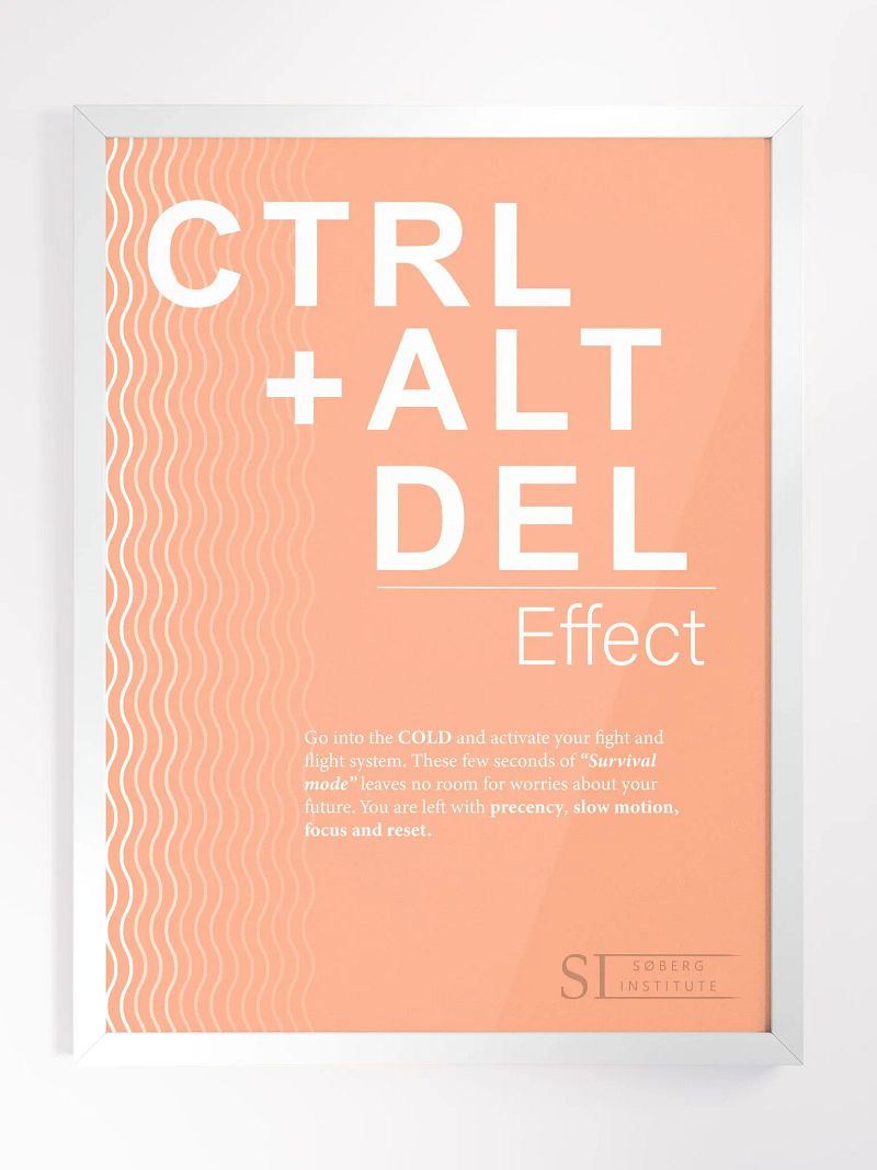 CTRL+ALT+DEL orange