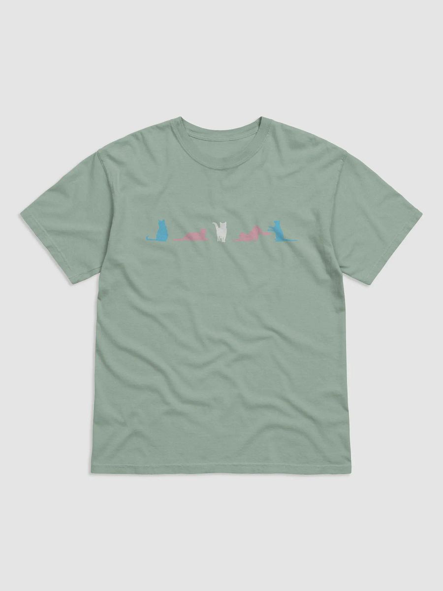 Transgender Pride Cats Men's Shirt product image (12)