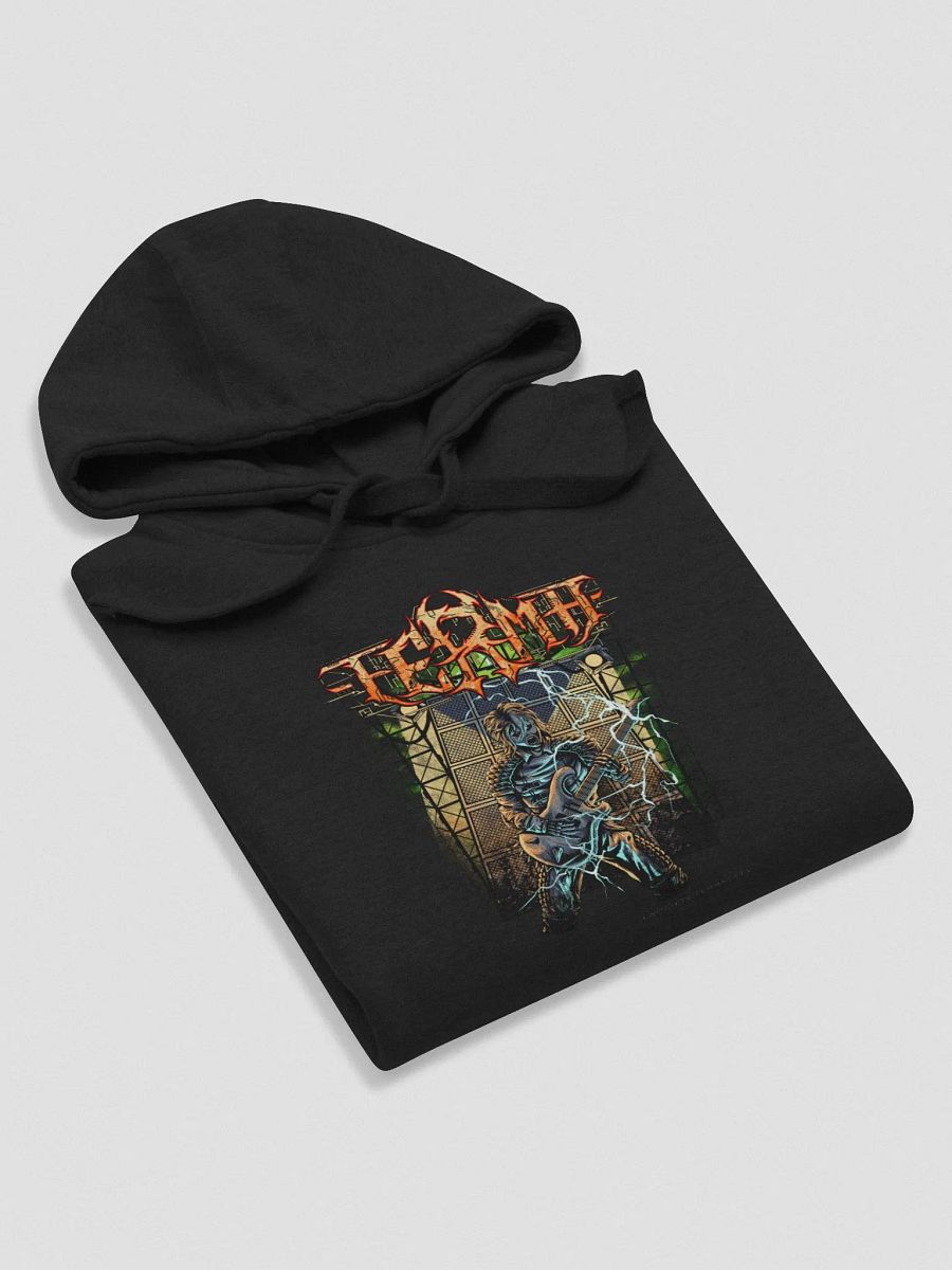 F.E.R.M.A. Hoodie (Wall of Amplifiers) product image (6)
