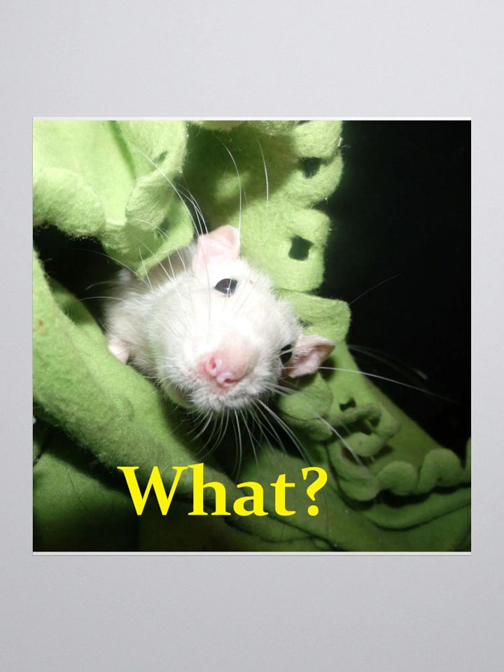 What? sticker product image (1)