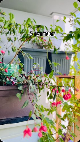 Anyone else ready for warmer weather? #zone8garden #gardensofinstagram #vancouverisawesome #vancouverweather #growyourownfood...