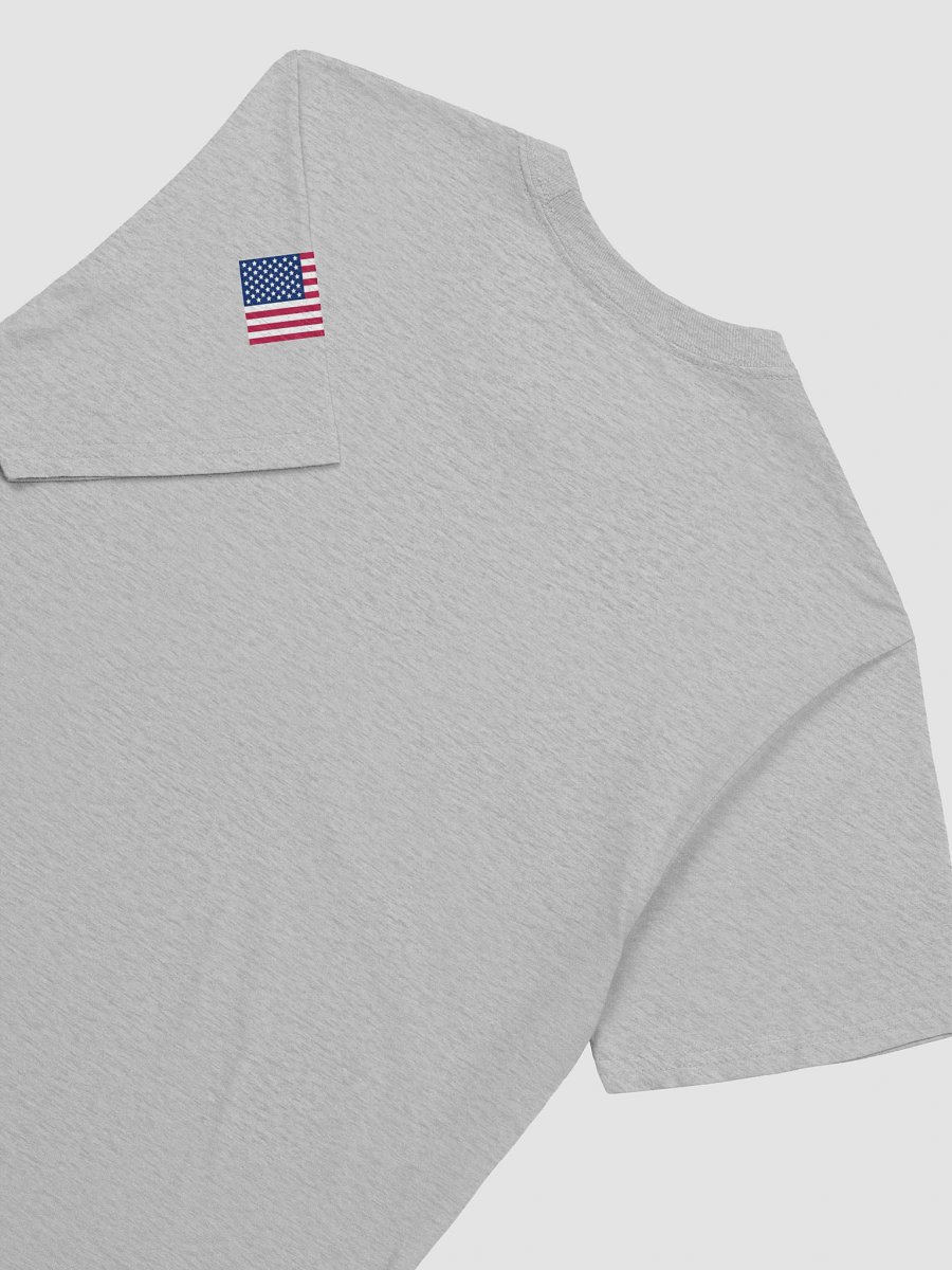 Authentic Apparel T-shirt product image (124)